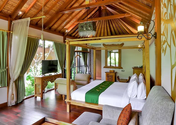 Disini And Spa-chse Certified